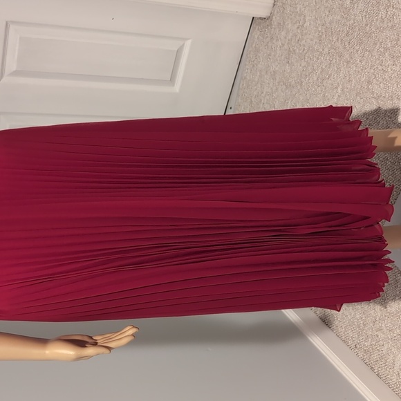 Elegant Red Pleated Dress - Picture 6 of 11